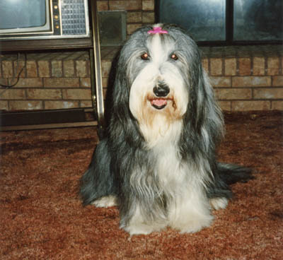 Four year old Megan is sitting pretty and posing for her photo